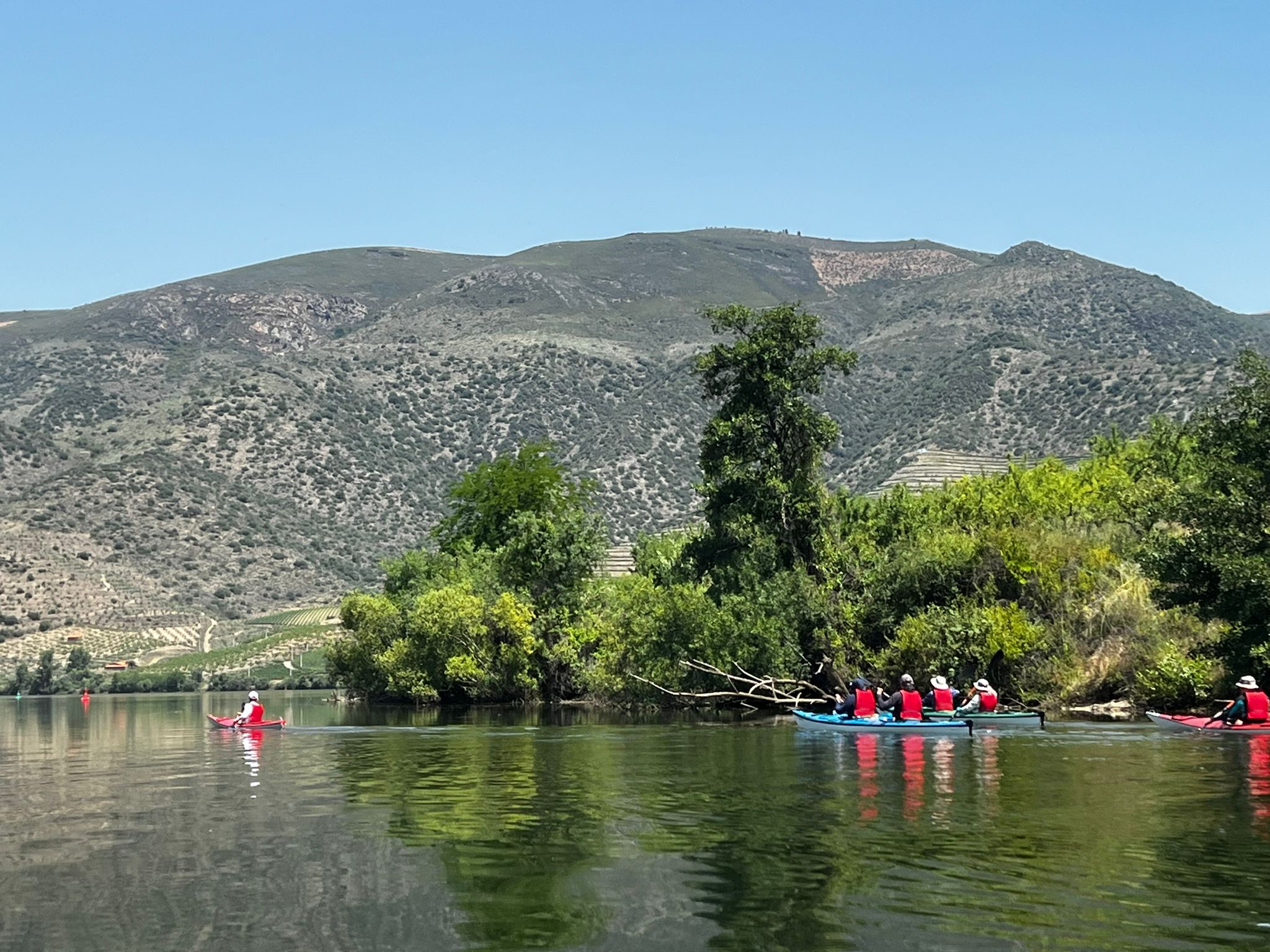 https://kayakportugaltours.com/wp-content/uploads/2025/06/cliffs3-min.jpg